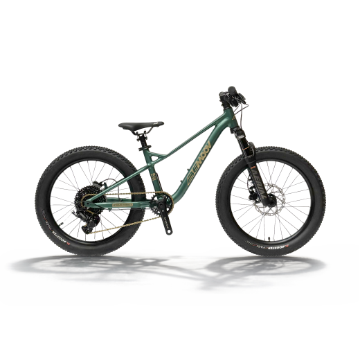 Bemoov TS20