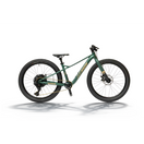 Bemoov T24