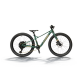 Bemoov T24