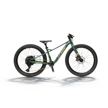 Bemoov T24