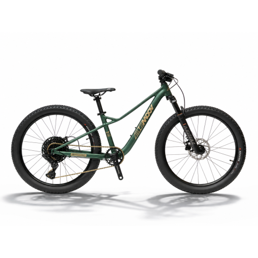Bemoov TS24