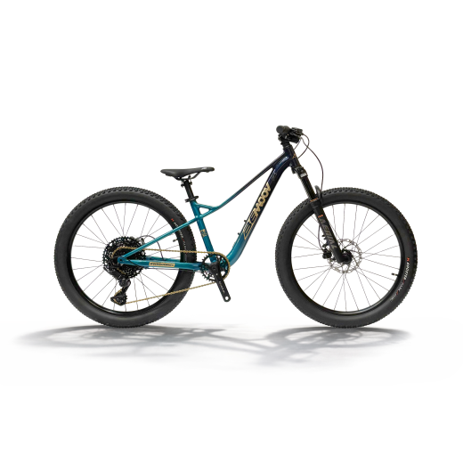 Bemoov TS24