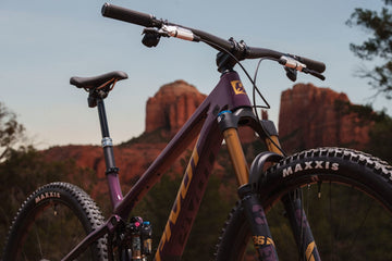Pivot Trailcat LT Team XX Eagle Transmission