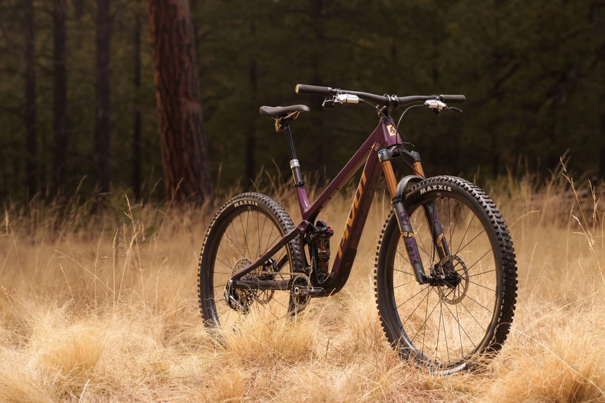 Pivot Trailcat SL Ride Eagle 70/90